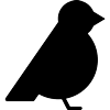 Attracts Birds