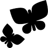 Attracts Butterflies